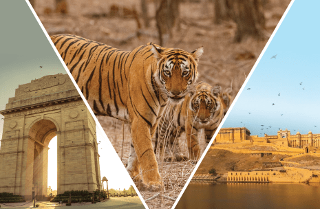 Golden Triangle With Ranthambore Tour
