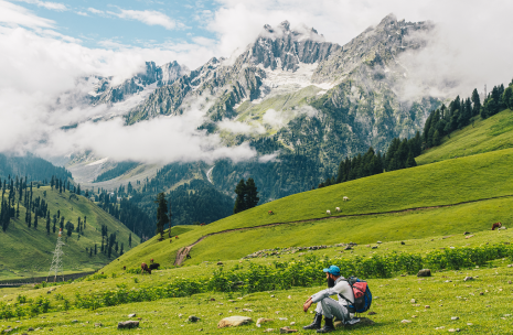 Kashmir Tour Package