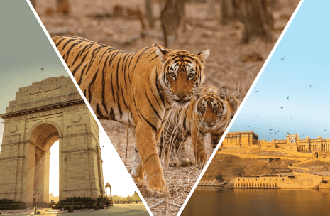 Golden Triangle With Ranthambore Tour